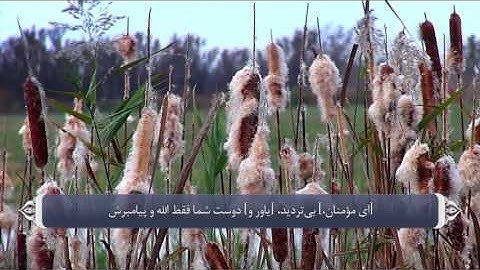 نماز - آیه 55 سوره مائده