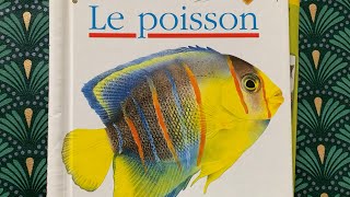 Le poisson extrait du livre documentaire mes premières découvertes