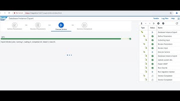 Homogeneous SYSTEM COPY - SOURCE SYSTEM EXPORT