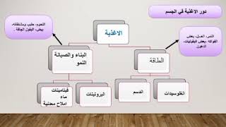 تصنيف الاغذية حسب دورها وتعريف الراتب الغذائي وانواعه نتائج  وعواقب سوء التغذية في فيديو واحد