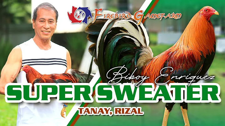 FARM VISIT: SUPER SWEATER - of Mr. Biboy Enriquez FIREBIRD GF