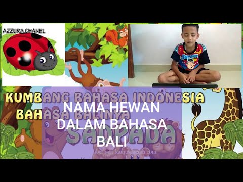 NAMA HEWAN  DALAM  BAHASA  BALI  YouTube