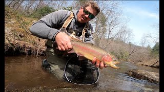 Fly Fishing Stone Mountains East Prong of the Roaring River!!!