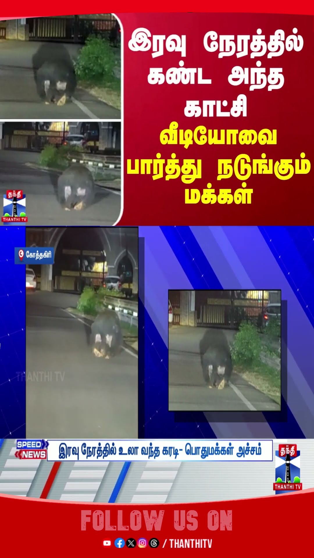nilgiris || bear || viral video ||