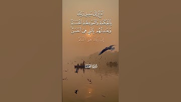 قران كريم #اكسبلور #القزابري #دويتو #الرحمن #duet #المراه #لايك #الظروف #راحة_نفسية #النظافه