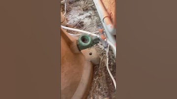 Algae Pool Visit 2 🐥💦🦠 #onlypools #poolcleaning #algae #algaeassassins