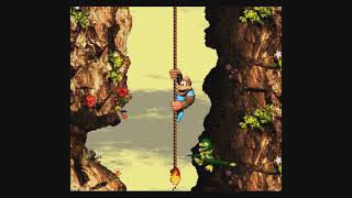 Donkey Kong Country 3 Part 9 Du siehst die Hand vor Augen nicht