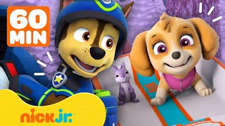 Patrulha Canina Resgata Seus Amigos! | Compilação de 60 Minutos | Nick Jr. em Português