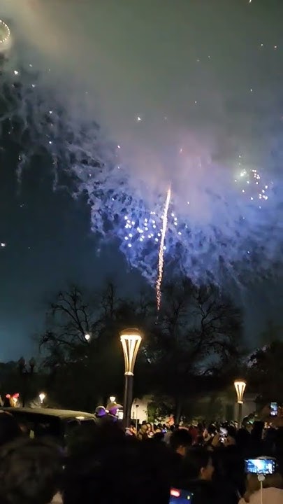 chinese new year in san antonio