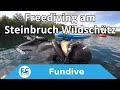 Freediving am steinbruch wildschtz
