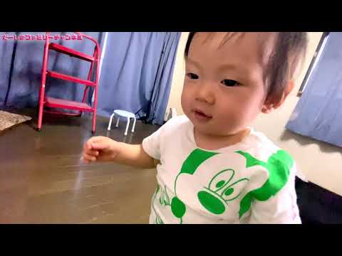1歳1ヶ月でやっと歩く気になってくれたみつきくん♪だーしまファミリー普段の様子