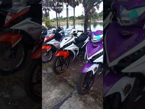 ex 50cc kiểng đẹp - YouTube