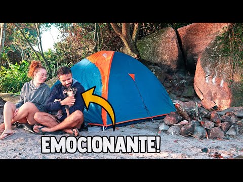 Vídeo: Acampar com seu cão