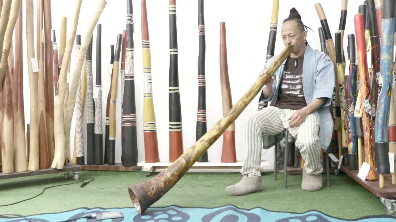 Gary Dillon Didgeridoo Key of F code 7767 YouTube