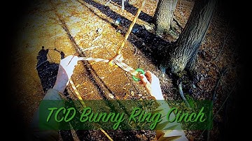 The TCD Bunny Ring Cinch