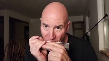 Cupping With Hands Swan Kettlewell chromatic harmonica