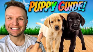 Puppy TRAINING  The FIRST 5 Things To Teach Any Puppy!