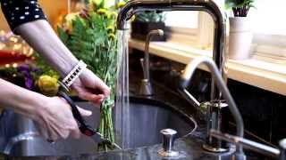 Shetland Manor - 6900 Shetland Way, Sarasota $745,000