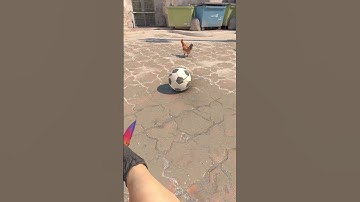 Chickens can do this in cs2