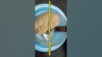 HOW TO KNEAD DOUGH IN FOOD PROCESSOR