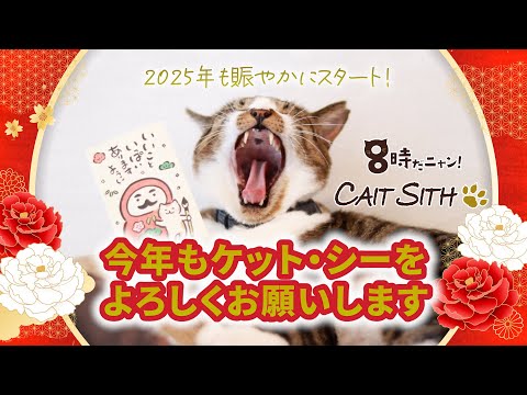 錆猫ギャラリー on X: 