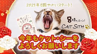 化け猫カフェ 特典 コースター 全種セット24枚 化け猫カフェ 特典 コースター 全種セット24枚（サンリオ
