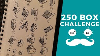 My Experience Completing Uncomfortable's 250 Box Challenge | Drawabox