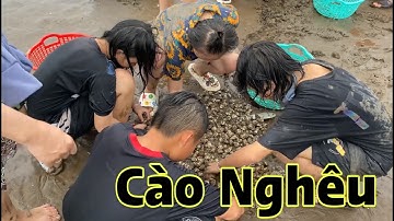 Về Gò Công Đến Biển Tân Thành Trải Nghiệm Cào Nghêu Như Người Dân Miền Biển!