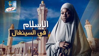 كيف دخل الاسلام الى السنغال وكيف يعيش المسلمون اليوم في واحدة من اكبر الدول الافريقية