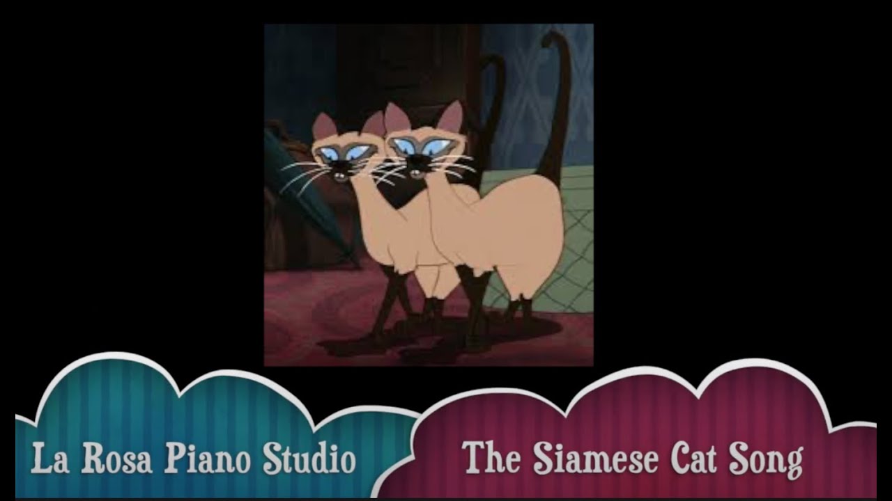 Siamese Cat Aristocats Song - designxio