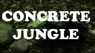 Watch Concrete Jungle II - Tinnitus from Titans Trailer