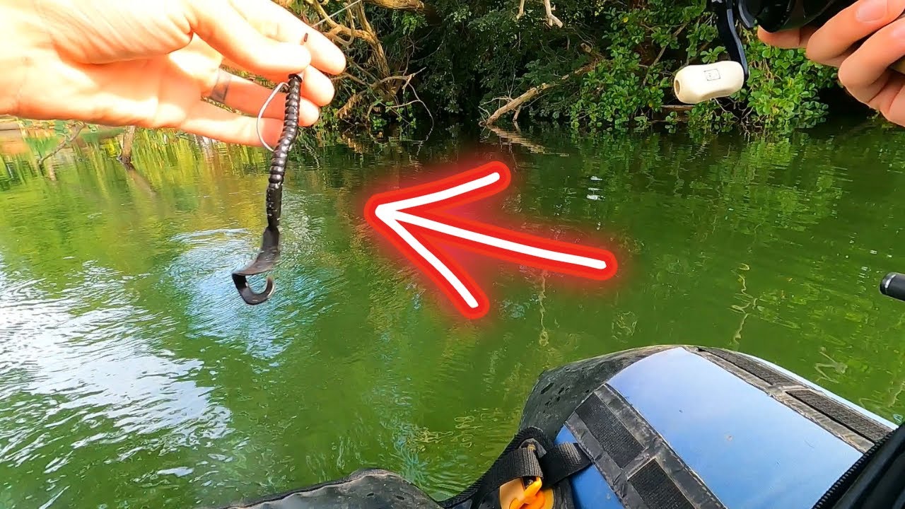 Je PECHE avec des GROS WORM pour chercher les BLACK BASS MONSTRUEUX (Feat Bruno)