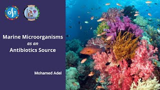 Marine Microorganisms as an Antibiotics Source الكائنات البحرية الدقيقة كمصدر للمضادات الحيوية