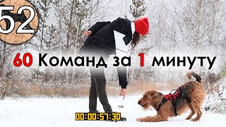 60 команд за одну минуту. Личный Челендж.