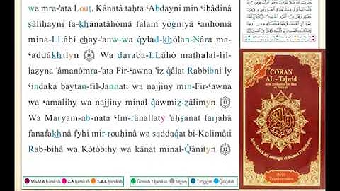 ختمة من مصحف التجويد باللغة الفرنسية الصفحة رقم 561