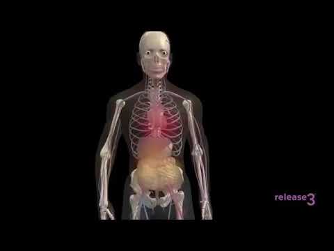 كبسولات الخلايا الجذعيه