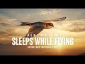 Sleeping in the Sky – The Science Behind the Impossible Flight