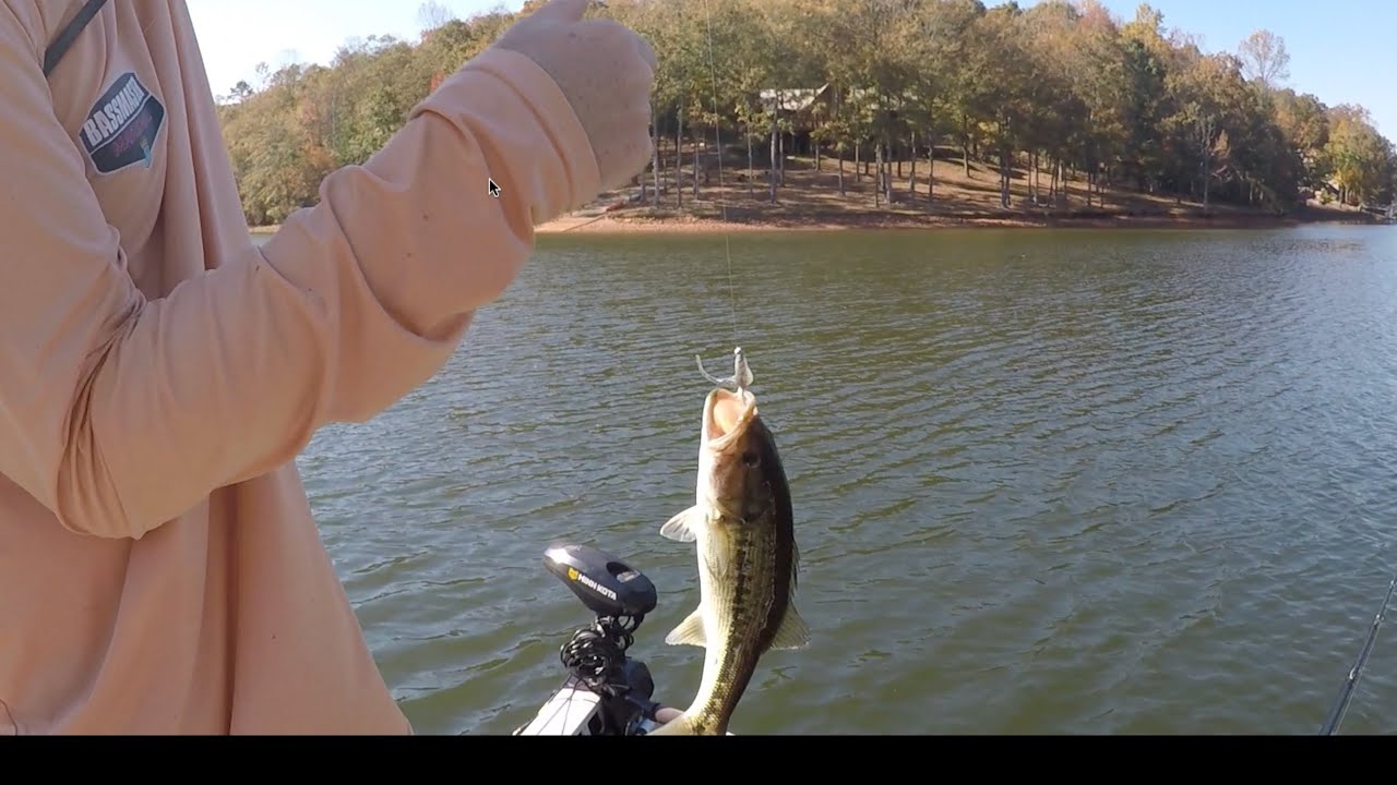 Wedowee Bass Fishing – October 2024