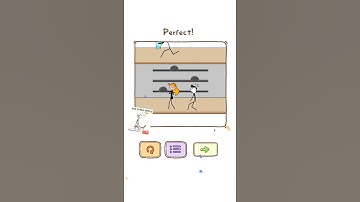 Thief Puzzle Level 96