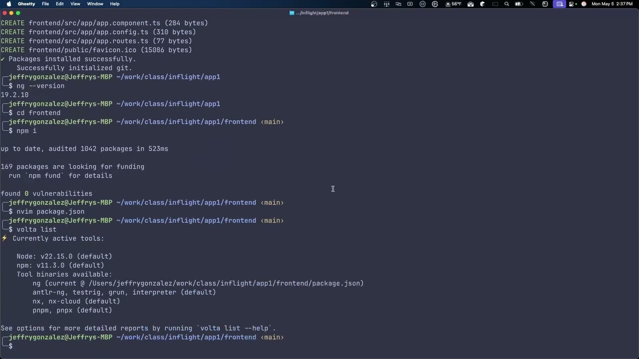 Using Volta to Manage Node and NPM Dependencies