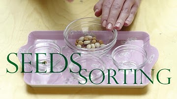 Seeds Sorting