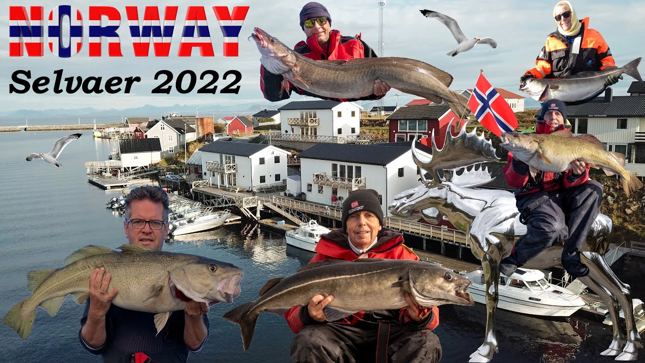 Fishing in Norway 2022 - Island Selvaer near Traena, English Edition ...