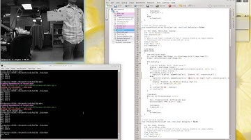 Real-Time Object Detection for Robotic Vision