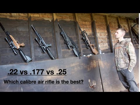 Airgun Caliber Comparison: .177, .22, & .25