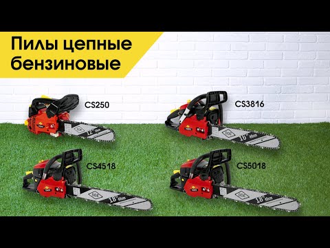 Пилы цепные бензиновые DDE | Бензопилы DDE
