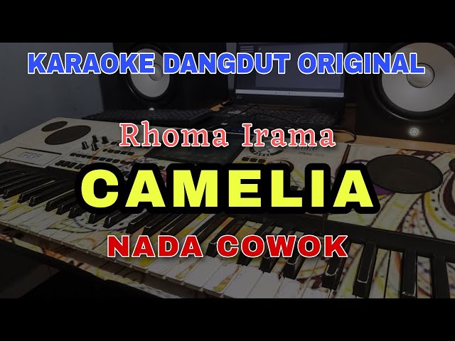 CAMELIA - H. RHOMA IRAMA | KARAOKE DANGDUT ORIGINAL VERSI MANUAL ORGEN TUNGGAL (NADA COWOK) class=