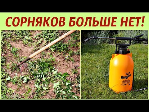 Видео: Уничтожение травы естественным путем: как избавиться от травы без химикатов