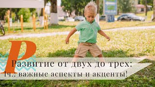 Развитие ребенка от 2 до 3 лет! | Важные акценты в этом возрасте! Развитие ребенка от 2 до 3 лет! | Важные акценты в этом возрасте!
