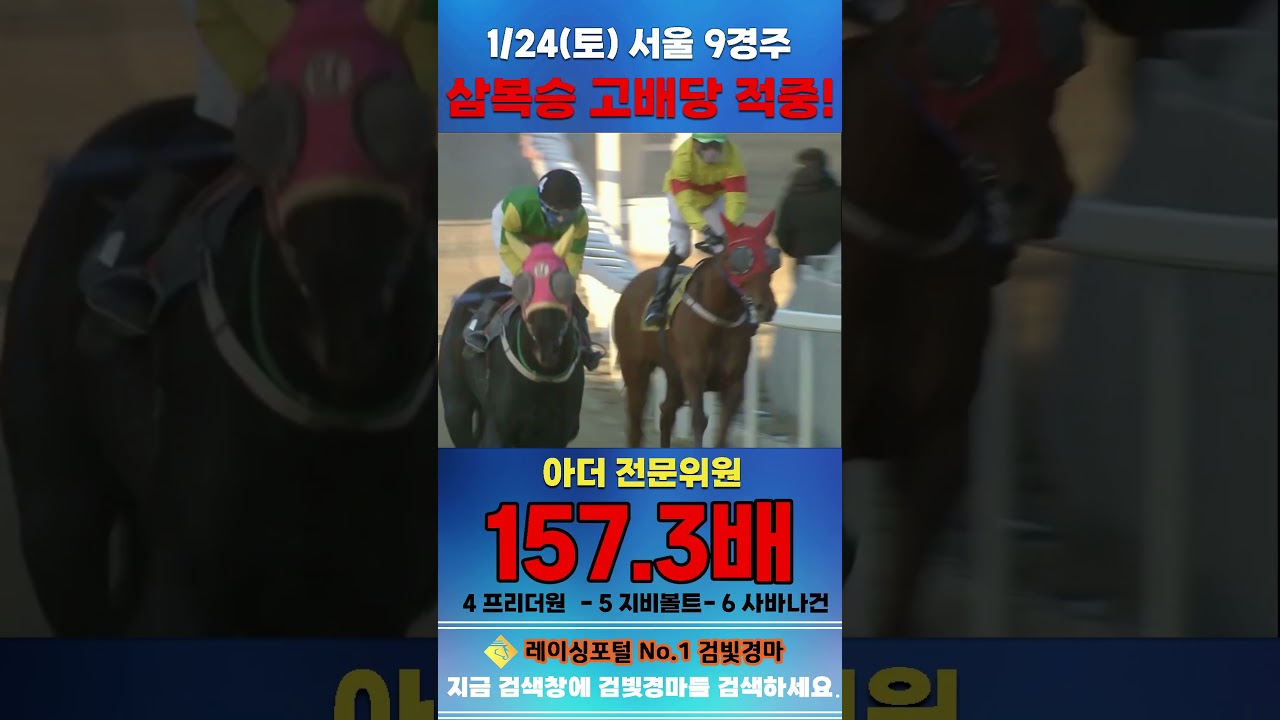 [서울 경마] 1월 24일 토요 9경주 아더 전문위원 삼복승 고배당 적중 #한국마사회 #automobile #경마 #horse #하이라이트 #비트코인 #golf #뉴스 #주식