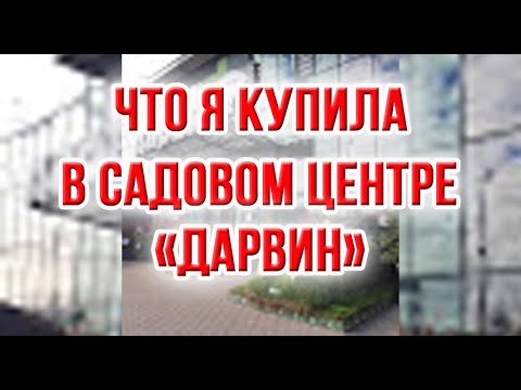 Магазин Дарвин Каталог Товаров